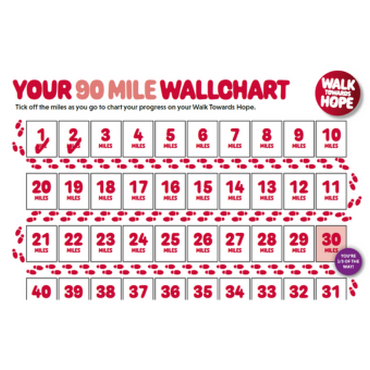 Copy of CUF web success