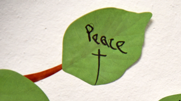 Peace