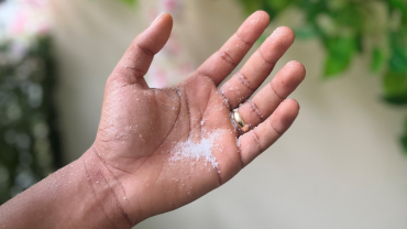 Salt and the light